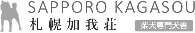 柴犬専門犬舎　札幌加我荘