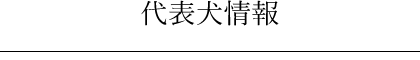 代表犬情報